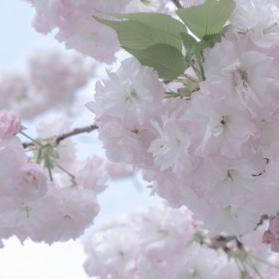 Furry角色比例设计技巧福瑞群